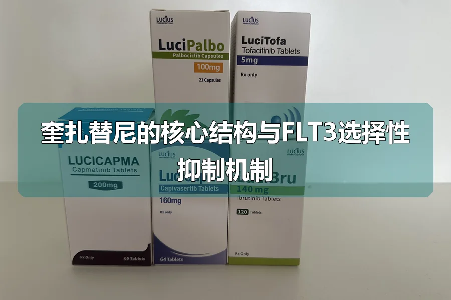奎扎替尼的核心结构与FLT3选择性抑制机制